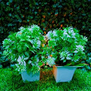 Artifical plant set of 2